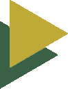 vector
