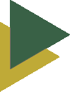 vector